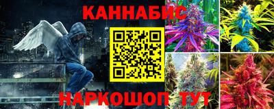сатива Лениногорск