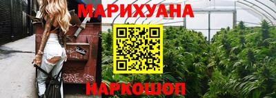 сатива Лениногорск