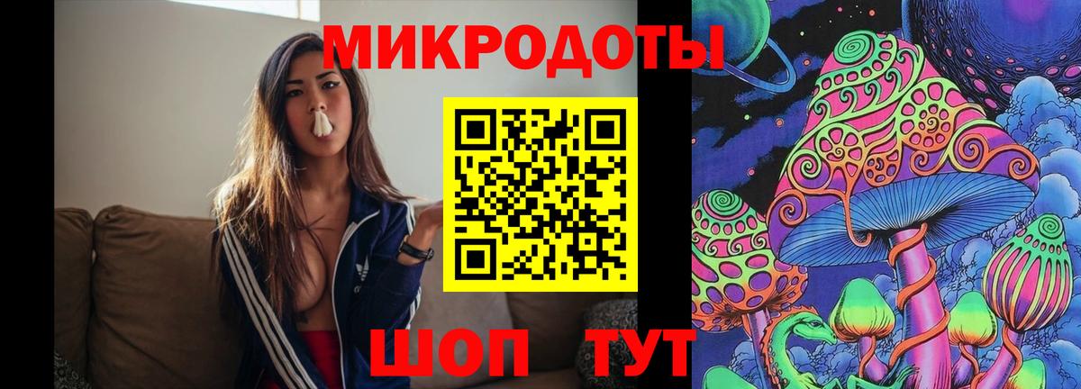 Апатиты  Галлюциногенные грибы прущие грибы  Галлюциногенные грибы прущие грибы  Вход с VPN 