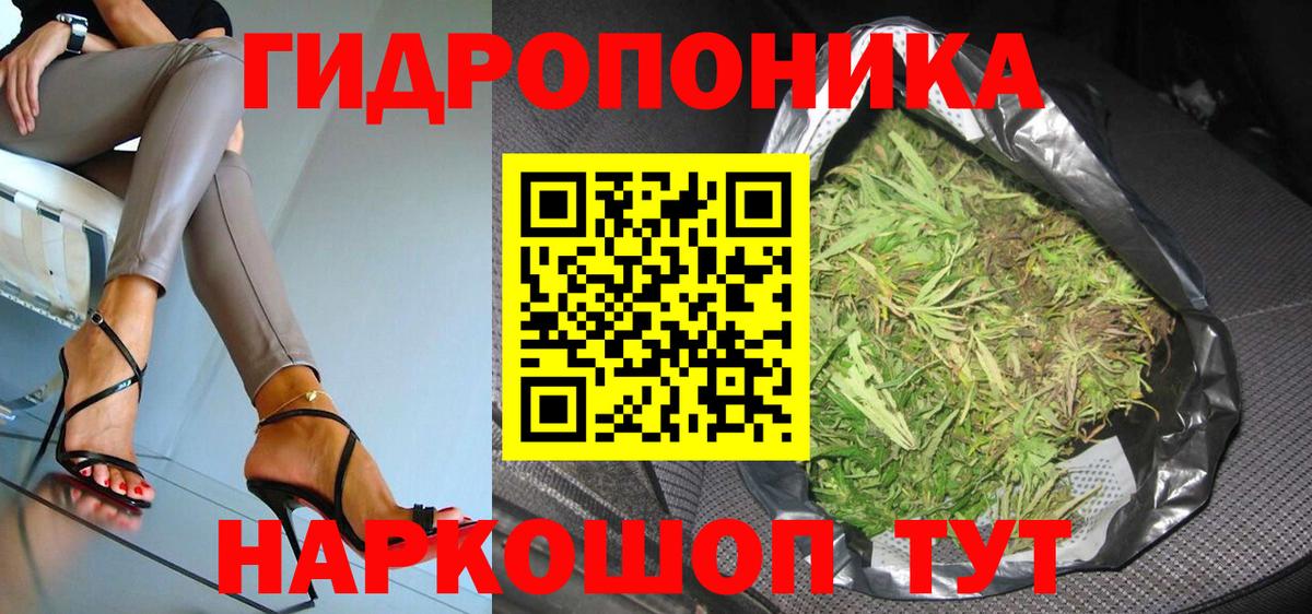 Канабис конопля Апатиты